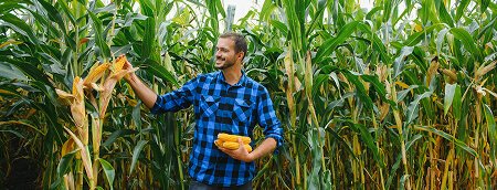 Bulk Supply & Wholesale