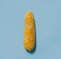 Green Maize