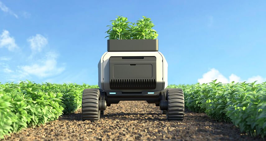 Reading a phytosanitary certificate before you need it